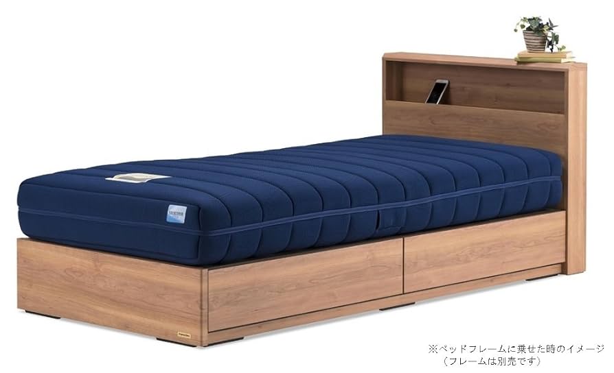 France Bed リクライニングマットレス RP-2000BAE S 電動リクライニングマットレス ルーパームーブRP-2000BAE セミダブル